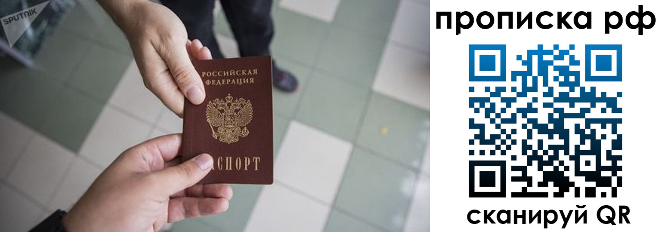 прописка гарантия в Новочеркасске